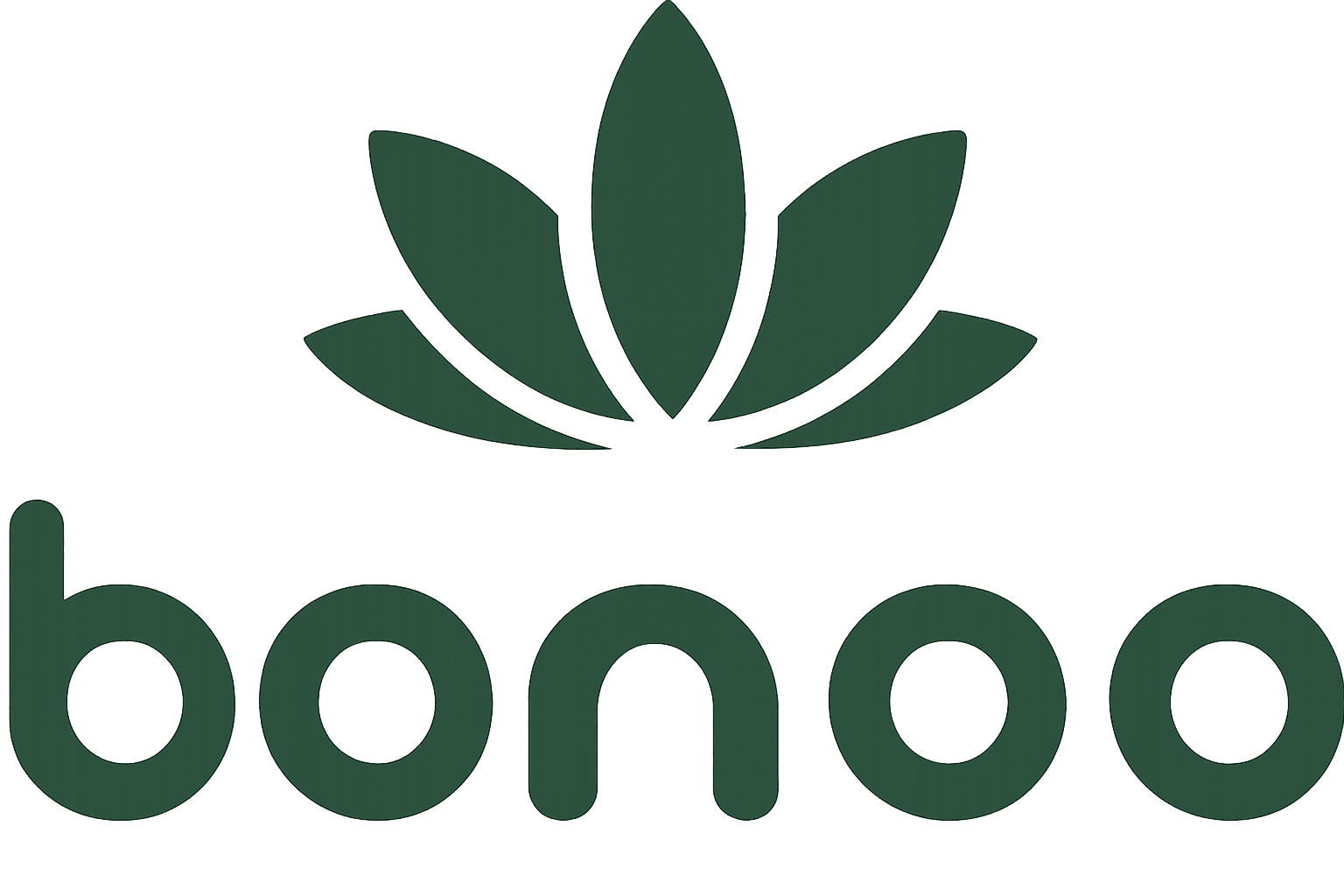 Bonoo Indian Tapas logo